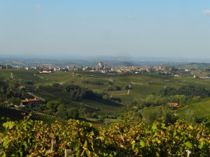 unesco werelderfgoed wijnheuvels piemonte